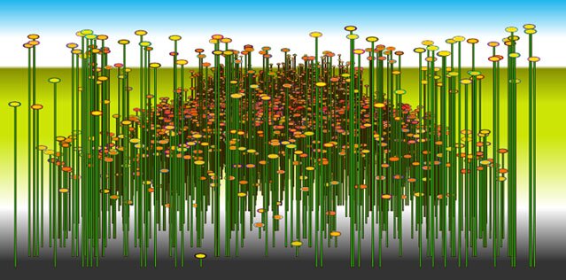 EVER-CHANGING RADIATION GARDEN